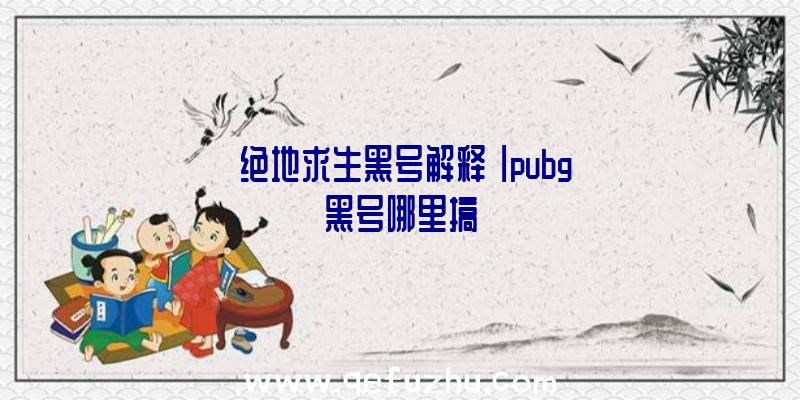 「绝地求生黑号解释」|pubg黑号哪里搞